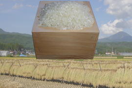 2024年産　天日干しのコシヒカリ　20Ｋｇ　受注してから精米します！
