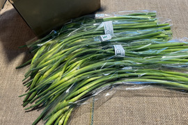 【有機JAS】にんにくの芽1kg