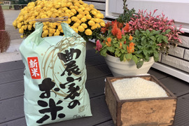 【令和7年新米】コシヒカリ🌾【白米約20㎏】ふっくらもっちり❗️茨城産1等米✨