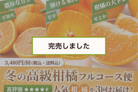 【売切れ】【限定200セット】冬の高級柑橘フルコース便🍊（食べチョク公式）