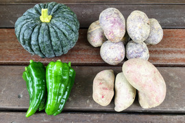 長雨にも負けなかった、野菜たち！【３セット限定】