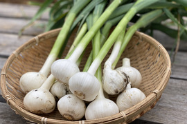 ≪予約商品≫☆有機JAS認証☆にんにく1㎏【6月発送予定】