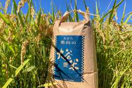 あきたこまちの通販｜お米｜食べチョク｜産地直送(産直)お