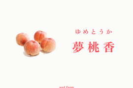 【数量限定】夢桃香（ゆめとうか）｜硬い桃の常識を超える希少な新品種　約2kg 約5~6玉