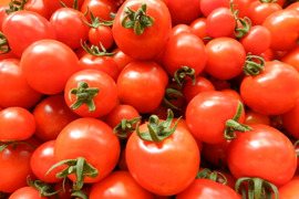 ◆予約販売★こだわり栽培★【露地栽培】ミニトマトセット（１ｋｇ）
一度食べたらハマる！こんなトマト食べたことない！しかも、農薬化学肥料不使用なんておどろき！