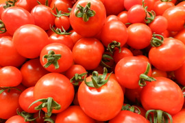 【朝どれ】ミニトマト食べ比べセット（１ｋｇ）糖度8度以上
こだわり栽培のミニトマトを、とったその日に発送してお届けします！！