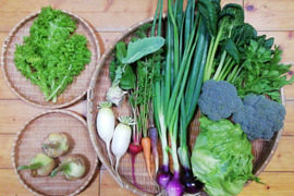 【農薬化学肥料不使用】葉付きタマネギ入り野菜セット【８種類以上の野菜】【熨斗(のし)対応可】【８０サイズ箱】