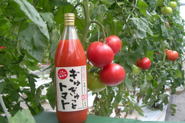 有機トマト100％使用のトマトジュース！「ぎゅぎゅっとトマト」1ℓ6本入り