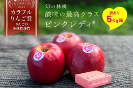 12月9日から🍎【ヒルナンデスでました！】ピンクレディ®︎ 5キロ訳あり品 加工用にご利用ください！長野県 信州 安曇野 リンゴ 幻 幻のリンゴ 予約 希少 旬 ID36611 ピンクレディー