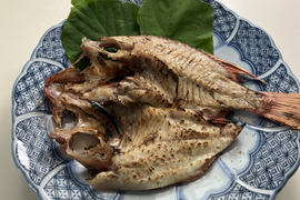 近眼金時　5尾