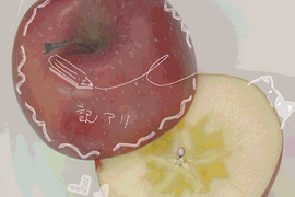 【冬季限定⛄】訳あり小玉りんご🍎家庭用3kg【スーパームーンりんご1個付き】