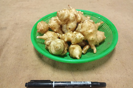 【話題のスーパーフード!!】　菊芋 2kg (250gx8p)