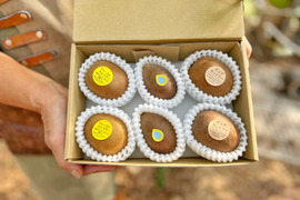 スウィートキウイ3種セット（中身は農家がその時期にあった一番おいしいものを厳選して発送いたします）S箱６個入り！