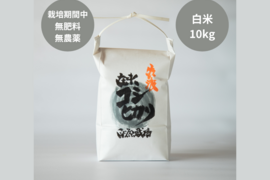 【予約商品】【令和7年産】潮風香る田んぼでトキと育った新潟県佐渡産 自然栽培『在来コシヒカリ』 白米10kg