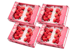 【予約販売 2026年11月下旬～順次発送】🍓あまおう苺 サイズ色々❤️270ｇ×8パック！