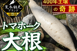【相葉マナブ出演で話題】生産量全体の１％『奇跡のトマホーク大根』400年土壌の栄養を最大限享受したブランド大根💡寛永鶴見ブランドお試しキャンペーン【冬ギフト】
