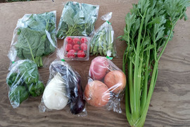 【ミニトマト入り】旬の野菜セット８品目