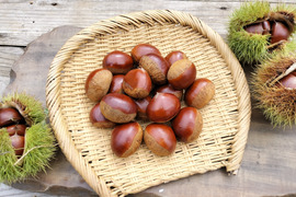 自然栽培　丹波栗（低温熟成済み）中粒（L〜Мミックス）　500ｇ