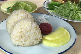 コシヒカリ５分づき精米５㎏　 小松島市生物多様性農業推進協議認証　いのちはぐくむ田んぼ米　令和7年産特別栽培米コシヒカリ玄米100%使用