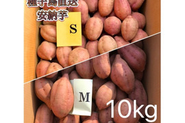 【絶品】種子島産 安納芋 S&M 混合10kg(箱別)