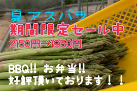 北海道産 訳あり規格外 M～2Lサイズ アスパラ！1 kg