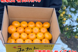 【ご家庭用・Lサイズ】和歌山有田産!早生みかん≪5㎏≫