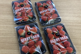 香り豊か！有機いちご「あまおとめ」1kg