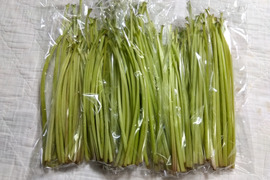 春の山菜
【蕗】 約1.7Kg
5月1日収穫・5月2日出荷出来ます
本日限りの出展です。
たくさん有りますので「佃煮・天婦羅・寿司の具・煮物」何でも出来ます。