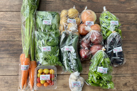 ☆有機JAS認証☆おまかせ野菜セット☆100サイズ箱詰め