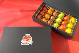 ☆２箱同梱【贈答品】カラフルで甘いミニトマトの詰め合わせ（約３００ｇ）