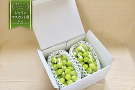 旬の果物〜青果市場直送 青果のオススメ 信州つがる1玉100円 朝からドンドン売れてます