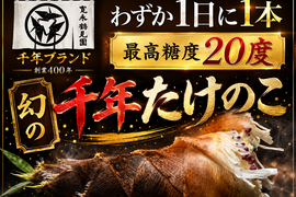 【日テレ出演で話題】最高級"千年たけのこ"解禁！まさに春の幻"1日に1本"しか掘れない超希少国産タケノコ【寛永鶴見園ブランド最高ランク】【春ギフト】