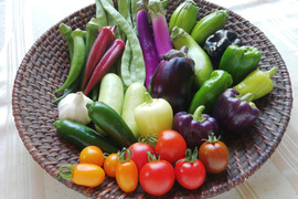 野菜セットS(栽培期間中農薬不使用)