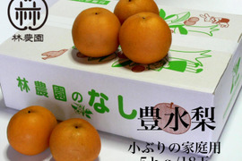 甘みと酸味のバランスが最高！豊水梨（家庭用）　約5kg(18玉)　小ぶり