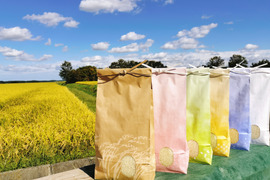 [新米]青森県産 ブランド米 まっしぐら 10kg 一等米 無洗米 2023年度産 米 精米したて