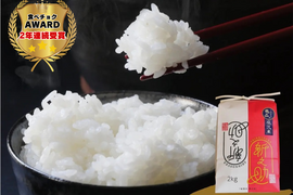 【令和7年産定期便】南魚沼産新之助１等米5kg【塩沢地区のお米100％】