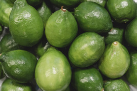 訳ありレモン レモン 訳あり 国産 5kg 家庭用 ノーワックス 防腐剤不使用 有機