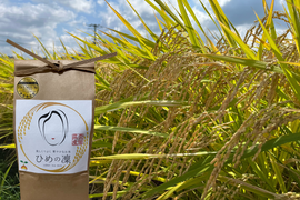 ✨令和７年産✨ﾌﾟﾚﾐｱﾑｸｵﾘﾃｨ認定10㎏｢ひめの凜｣一等米【白米】