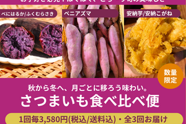 【限定200セット】さつまいも食べ比べ便（食べチョク公式）
