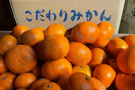 😊【訳あり】ギュッと詰った甘味と程よい酸味の藤中みかんサイズLL～S５㎏