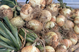 生でも加熱でも食べやすい!農薬・化学肥料不使用の『新たまねぎ』 2kg