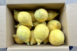 【鹿児島産】甘塩野菜セット2品目^_^