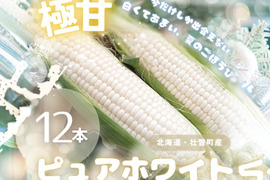 厳選品、ご自宅用にもご贈答用にも！　北海道産ピュアホワイト１２本（５㎏以上）
