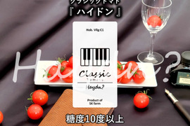 クラシック音楽で育つ 糖度10度以上の高糖度ミニトマト『 クラシックトマト ハイドン 』【750g】