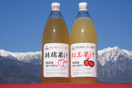 林檎果汁３本、紅玉果汁３本セット（１リットルビン×６本入り）無添加（長野県産りんごジュース）