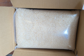 フェアリーベッチ緑肥栽培　ヒノヒカリ　福岡産　5kg　7年産