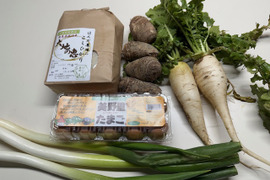 【農薬不使用食材/詰め合わせ小セット】令和6年産 コシヒカリ 白米 2kg+里芋500g+超ミニ大根2本+長ネギ2本+たまご10個