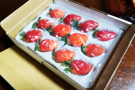 最高糖度19度！！　兵庫県産　高糖度イチゴ　多品種あります。