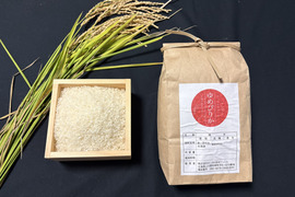 令和７年産 北海道 ゆめぴりか 【精米５kg】 わっさむのおこめ