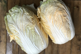 【ハナ様専用】